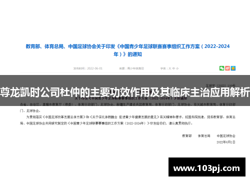 尊龙凯时公司杜仲的主要功效作用及其临床主治应用解析 尊龙凯时公司杜仲的主要功效作用及其临床主治应用解析