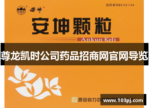 尊龙凯时公司药品招商网官网导览 尊龙凯时公司药品招商网官网导览