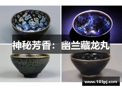 神秘芳香:幽兰藏龙丸 神秘芳香:幽兰藏龙丸