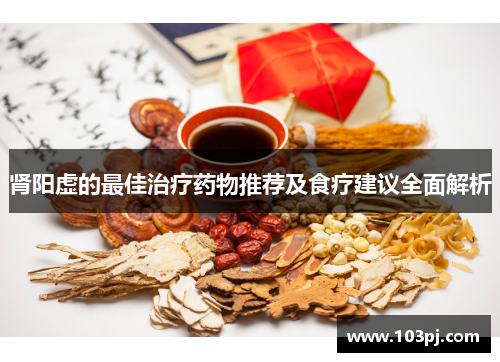 肾阳虚的最佳治疗药物推荐及食疗建议全面解析 肾阳虚的最佳治疗药物推荐及食疗建议全面解析