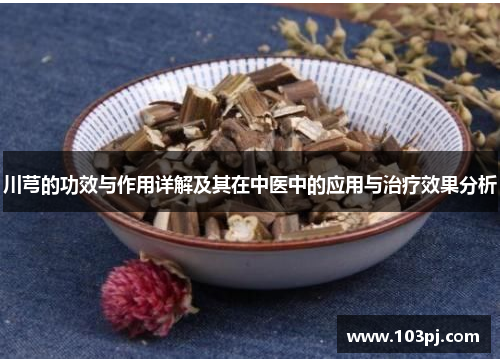 川芎的功效与作用详解及其在中医中的应用与治疗效果分析 川芎的功效与作用详解及其在中医中的应用与治疗效果分析