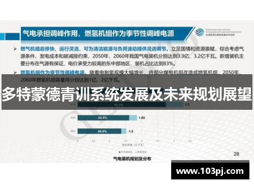 多特蒙德青训系统发展及未来规划展望 多特蒙德青训系统发展及未来规划展望